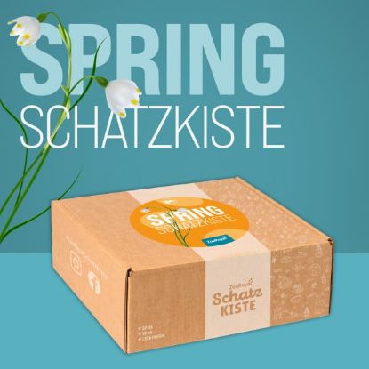 ZooRoyal Schatzkiste Hund Spring-Edition (ZooRoyal Schatzkiste)