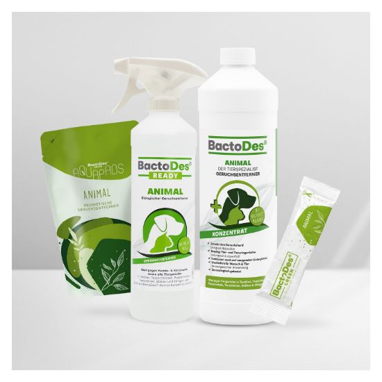 BactoDes® Animal ()