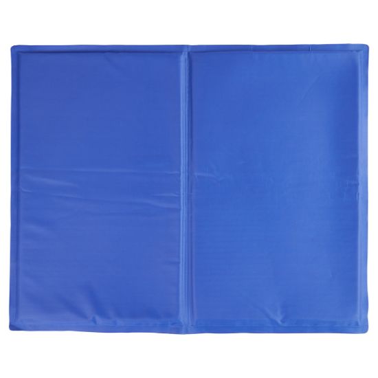 ZooRoyal Kühlmatte 50x40cm (ZooRoyal)