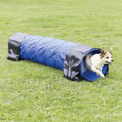 Dog Activity Agility Tunnel, 40cm - 2m (TRIXIE)