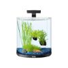 Tetra AquaArt Explorer Line Halfmoon Komplett-Set 30l anthrazit (Tetra)