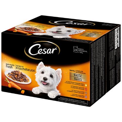 Cesar Feines im Frischebeutel Favoriten in Sauce 24x100g (Cesar)