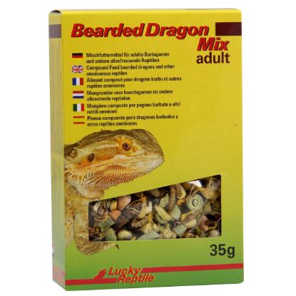 Lucky Reptile Bearded Dragon Mix Adult 35 g (Lucky Reptile)