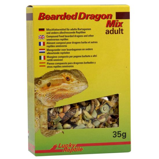Lucky Reptile Bearded Dragon Mix Adult 35 g (Lucky Reptile)