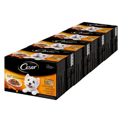 Cesar Feines im Frischebeutel Favoriten in Sauce 96x100g (Cesar)