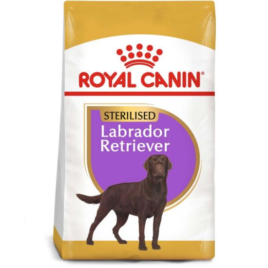 ROYAL CANIN Labrador Retriever Adult Sterilised Trockenfutter für kastrierte Hunde 2x12kg (Royal Canin)