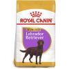 ROYAL CANIN Labrador Retriever Adult Sterilised Trockenfutter für kastrierte Hunde 2x12kg (Royal Canin)