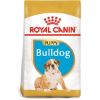 ROYAL CANIN Bulldog Puppy Welpenfutter trocken 3 kg (Royal Canin)