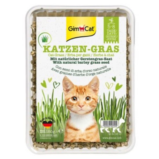 GimCat Katzengras 150g (Gimcat)