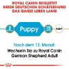 ROYAL CANIN German Shepherd Puppy 12 kg (Royal Canin)