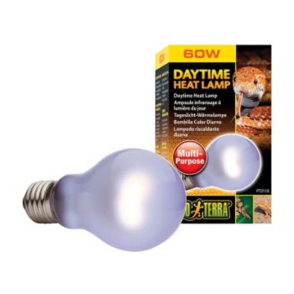 Exo Terra Day Glo SG A19/60 W (Exo Terra)