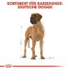 ROYAL CANIN Deutsche Dogge Adult 12 kg (Royal Canin)