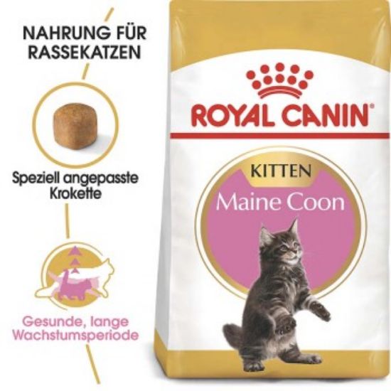 ROYAL CANIN Maine Coon Kitten 4 kg (Royal Canin)