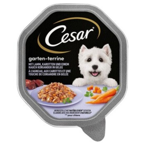 Cesar Garten-Terrine 14x150g Lamm, Karotten und Koriander (Cesar)