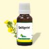 cdVet BioBachblüten Quälgeist 20ml (cdVet)