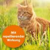 ARDAP Spot-On für Katzen M (ardap)