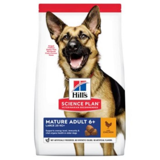 Hill's Canine Science Plan Active Longevity Mature Adult 6+ Senior Large Breed 18 kg (Hills)