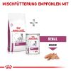 ROYAL CANIN Veterinary RENAL 14 kg (Royal Canin)