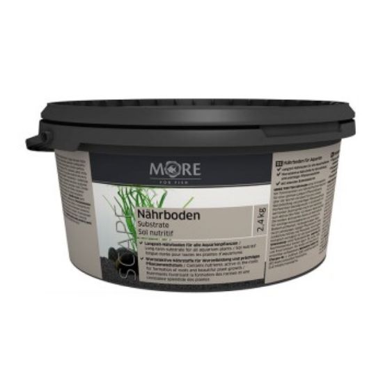 MORE Nährboden (More)