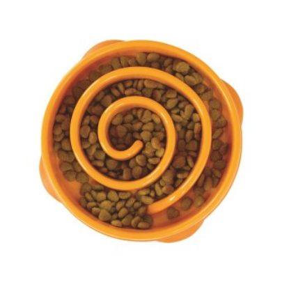 Outward Hound Fun Feeder Slo Bowl (Outward Hound)