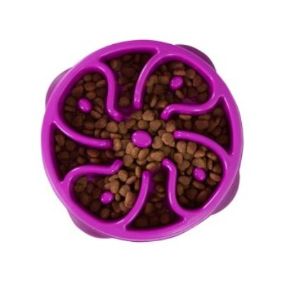 Outward Hound Fun Feeder Slo Bowl (Outward Hound)