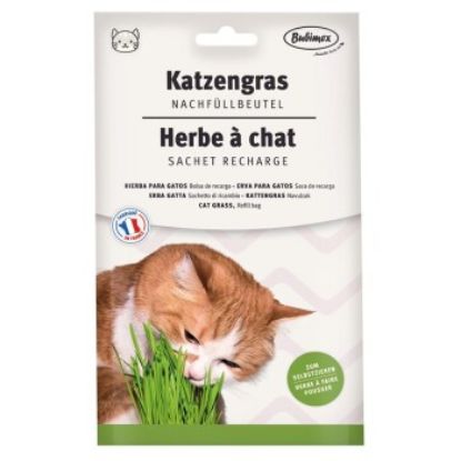 Bubimex Katzengras Nachfüllbeutel 100g (Bubimex)