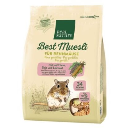 REAL NATURE „Best Muesli“ für Rennmäuse 500g (REAL NATURE)