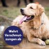 Canosept Fellpflegespray für Hunde 250 ml (Canosept)