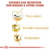 ROYAL CANIN Mops Adult 2x3 kg (Royal Canin)