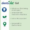 dentaVet Gel 35g (dentaVet)