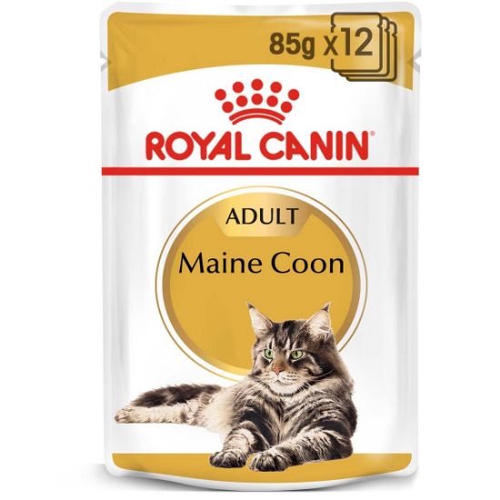 ROYAL CANIN Maine Coon Adult Katzenfutter nass 12x85g (Royal Canin)