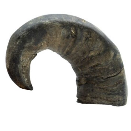 Bubimex Büffel-Kauhorn, Größe: S M (Bubimex)