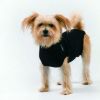 Trovet Hundebody Recovery Suit schwarz XXS (Trovet)