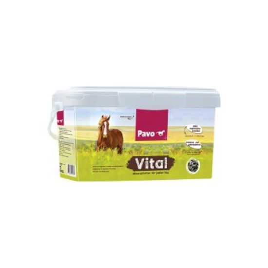 PAVO Mineralfutter Vital 20 kg (Pavo)