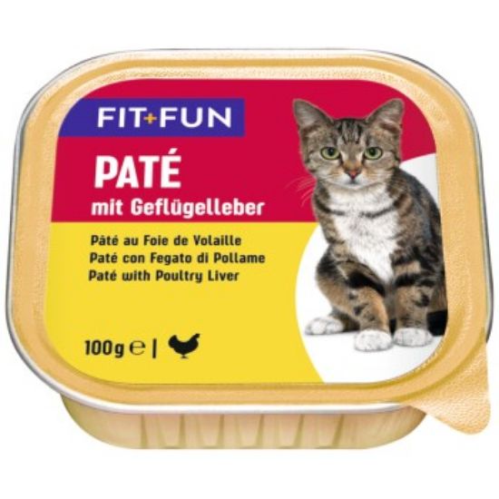 FIT+FUN Adult Paté Geflügelleber 16x100 g (FIT+FUN)