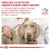 ROYAL CANIN ® Veterinary RENAL SELECT 10 kg (Royal Canin)
