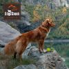 Dogs Creek Geschirr Pathfinder rot L (Dogs Creek)