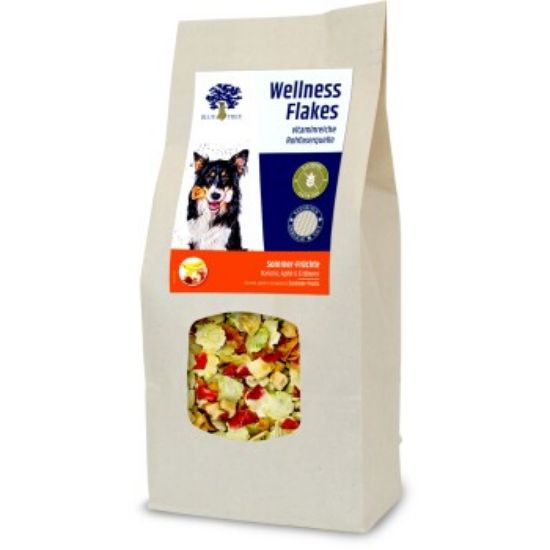 BLUE TREE Wellness Flakes 650g mit Früchten (BLUE TREE)