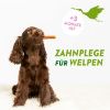 WHIMZEES Puppy Zahnpflege XS-S (Whimzees)
