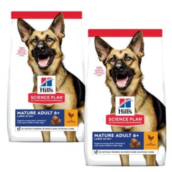 Hill's Canine Science Plan Active Longevity Mature Adult 6+ Senior Large Breed 2x14 kg (Hills)