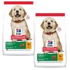Hill's Science Plan Puppy Large Breed 2x14,5 kg (Hills)