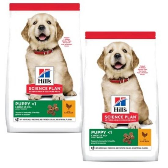 Hill's Science Plan Puppy Large Breed 2x14,5 kg (Hills)