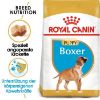ROYAL CANIN Boxer Puppy 2x12 kg (Royal Canin)