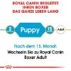 ROYAL CANIN Boxer Puppy 2x12 kg (Royal Canin)