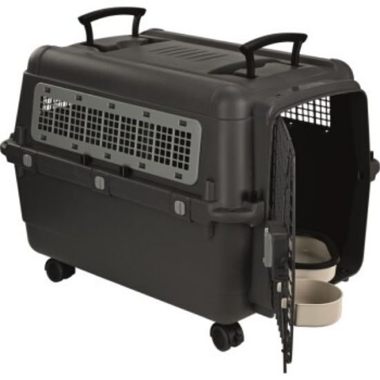 AniOne Transportbox M (AniOne)