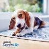 DentaLife PURINA Hunde Zahnpflege-Snacks Großpackung Mini, 108x (Dentalife)