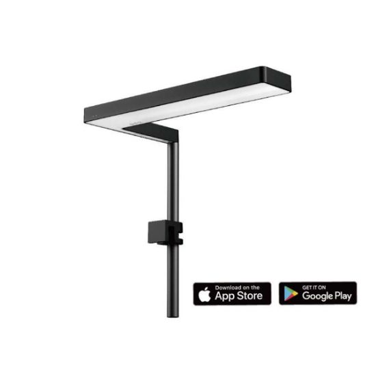 ONF FLAT Nano Plus (ONF)