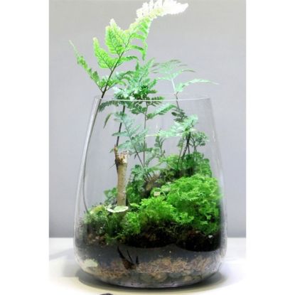 ONF Moss Micro Landscape Set (ONF)