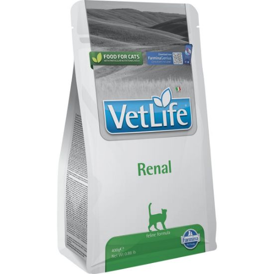 Farmina Vet Life Cat Renal 400g (Vet Life)