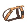 annyx Brustgeschirr Fun braun/ bernstein XL (annyx)